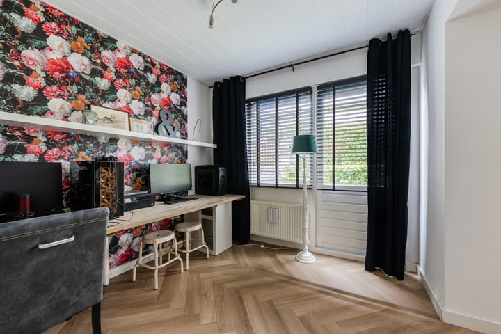 Foto 20 van Buizerd 11