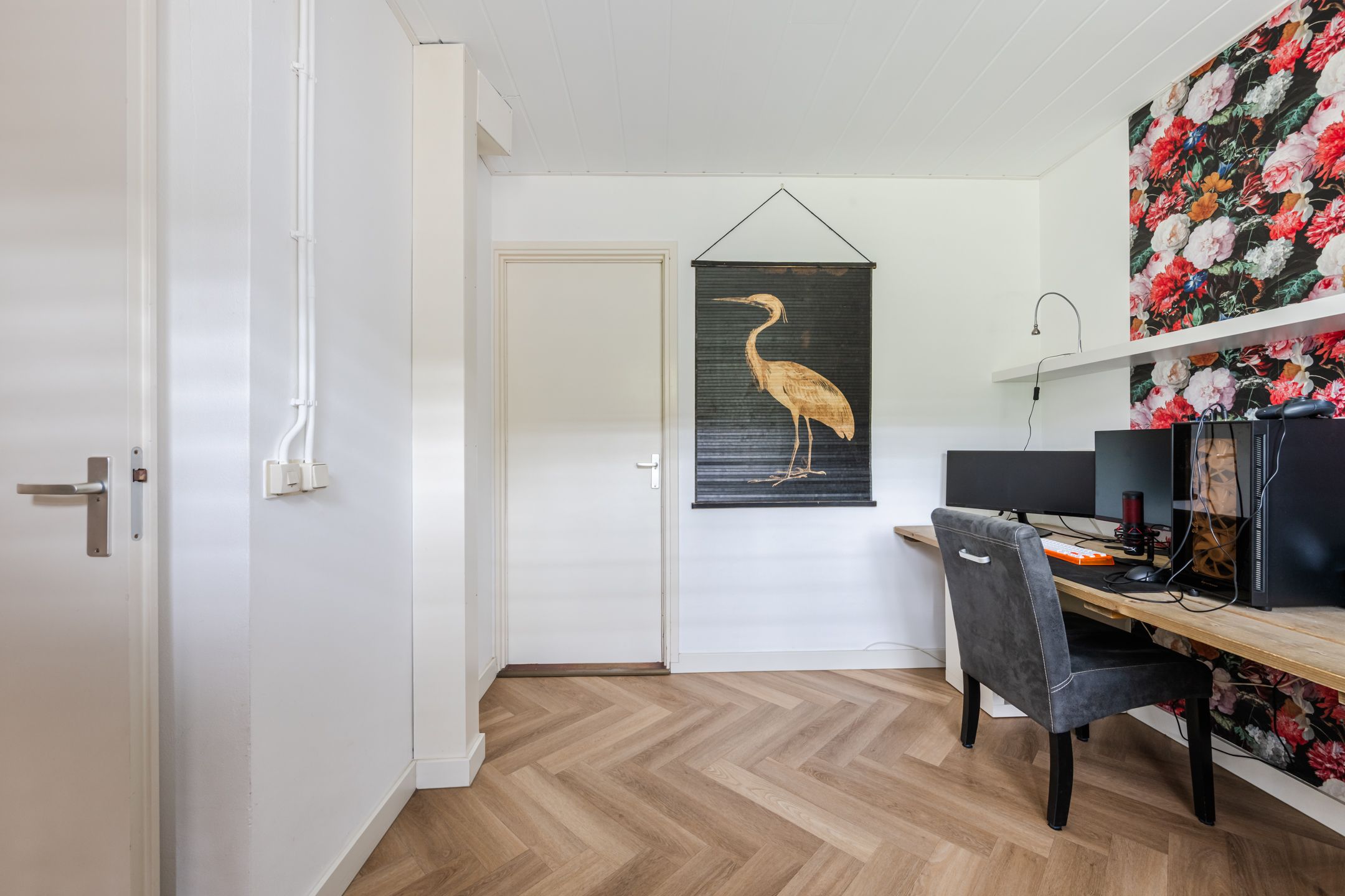 Foto 21 van Buizerd 11