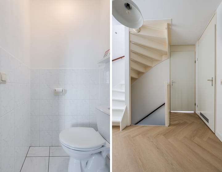 Foto 22 van Buizerd 11