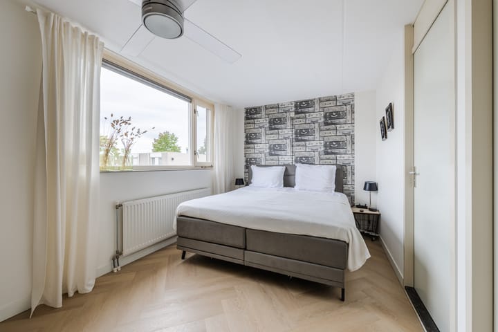 Foto 23 van Buizerd 11