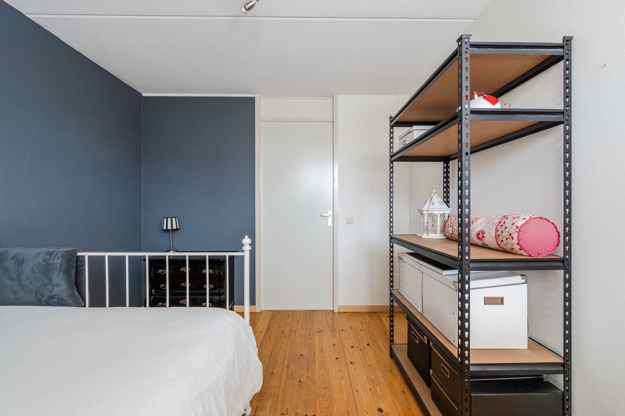 Foto 27 van Buizerd 11