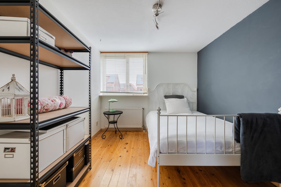 Foto 28 van Buizerd 11