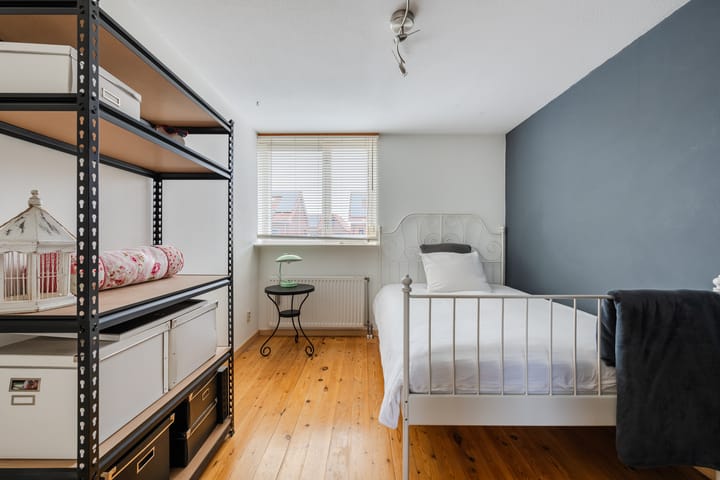 Foto 28 van Buizerd 11