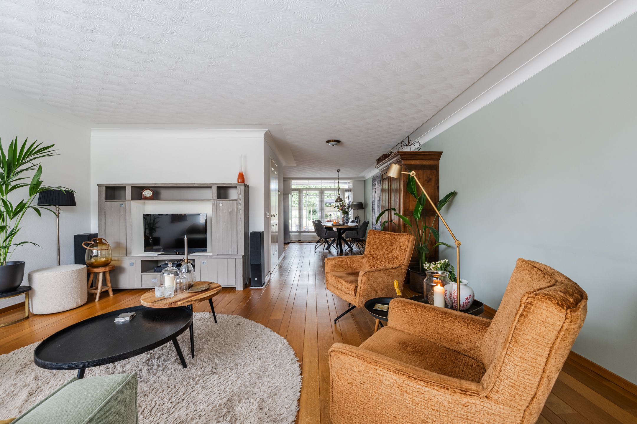 Foto 9 van Buizerd 11