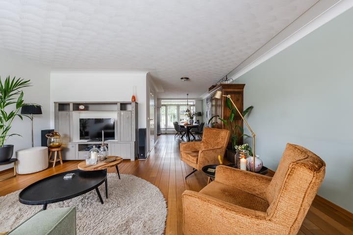 Foto 9 van Buizerd 11