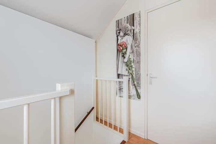 Foto 31 van Buizerd 11