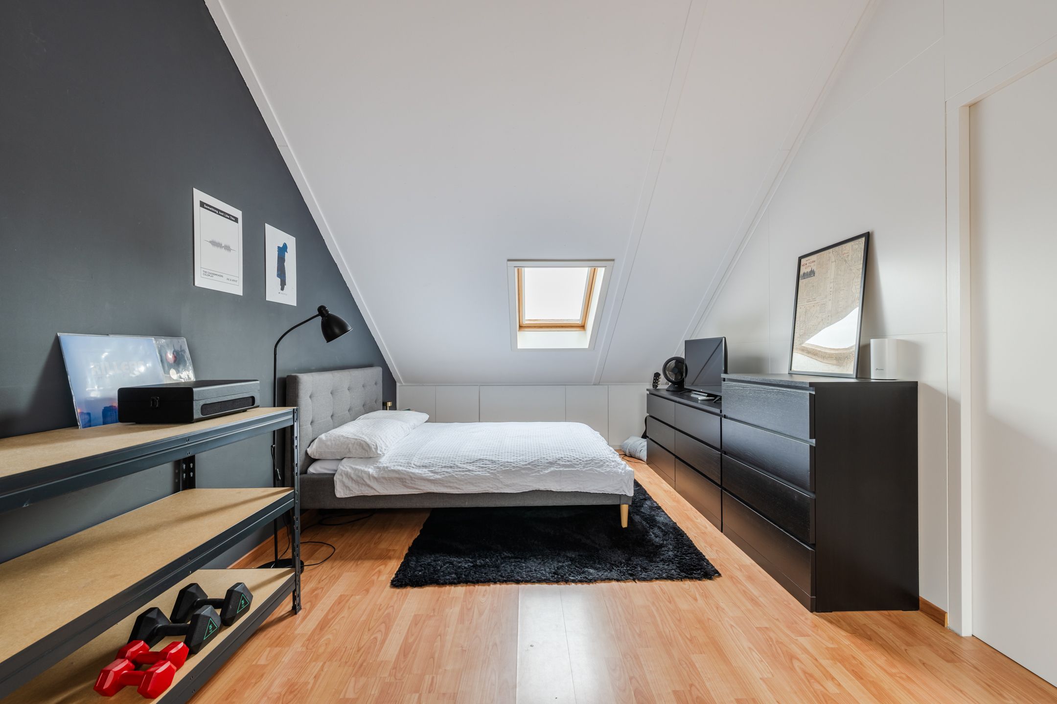 Foto 33 van Buizerd 11