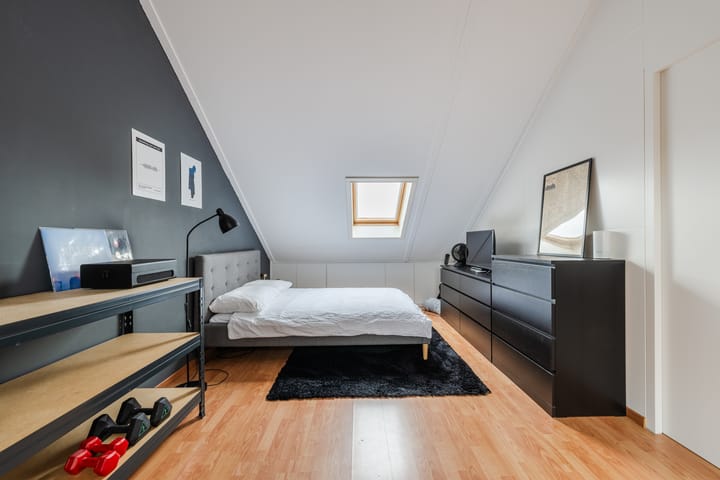 Foto 33 van Buizerd 11