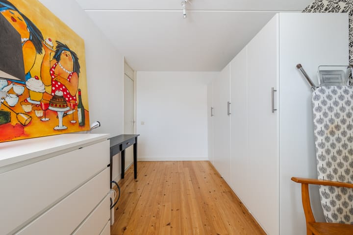 Foto 26 van Buizerd 11