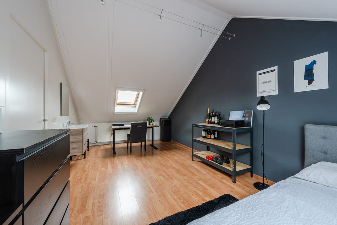 Foto 32 van Buizerd 11