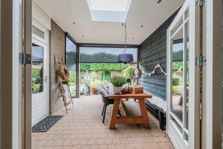 Foto 35 van Buizerd 11