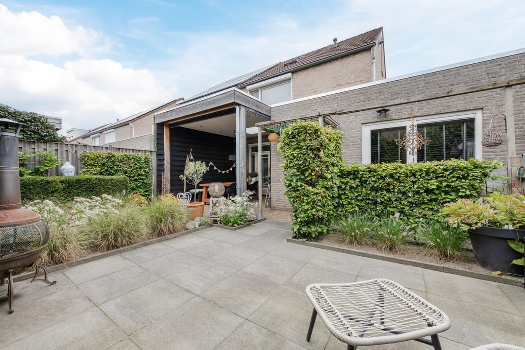 Foto 37 van Buizerd 11