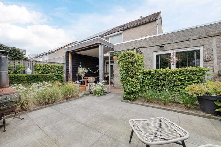 Foto 37 van Buizerd 11