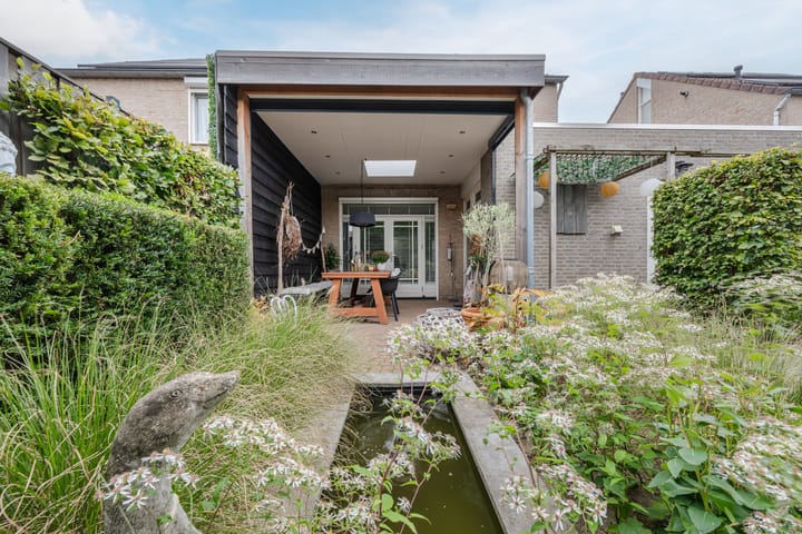 Foto 38 van Buizerd 11