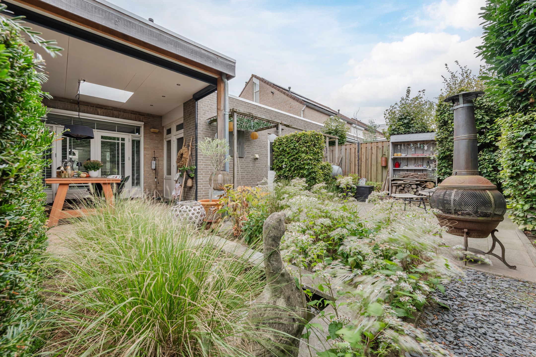 Foto 39 van Buizerd 11