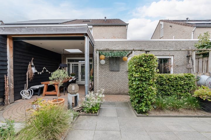 Foto 40 van Buizerd 11