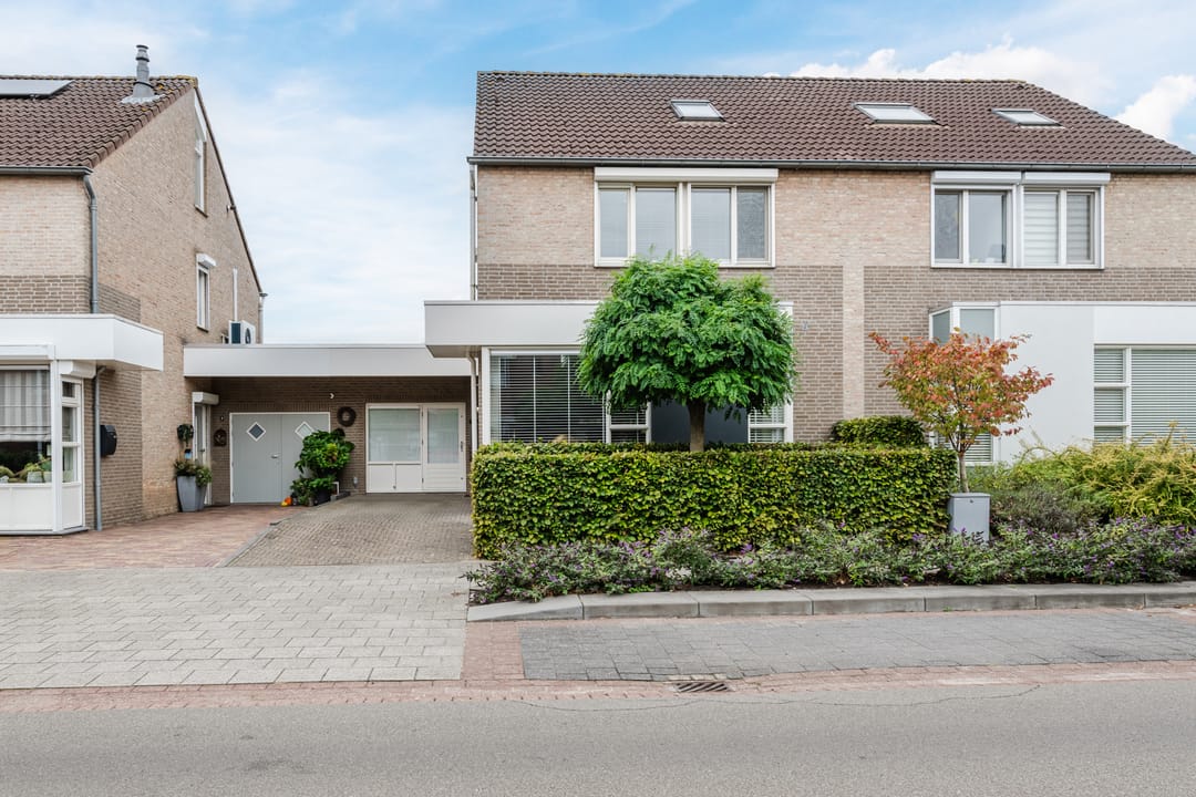 Foto 41 van Buizerd 11