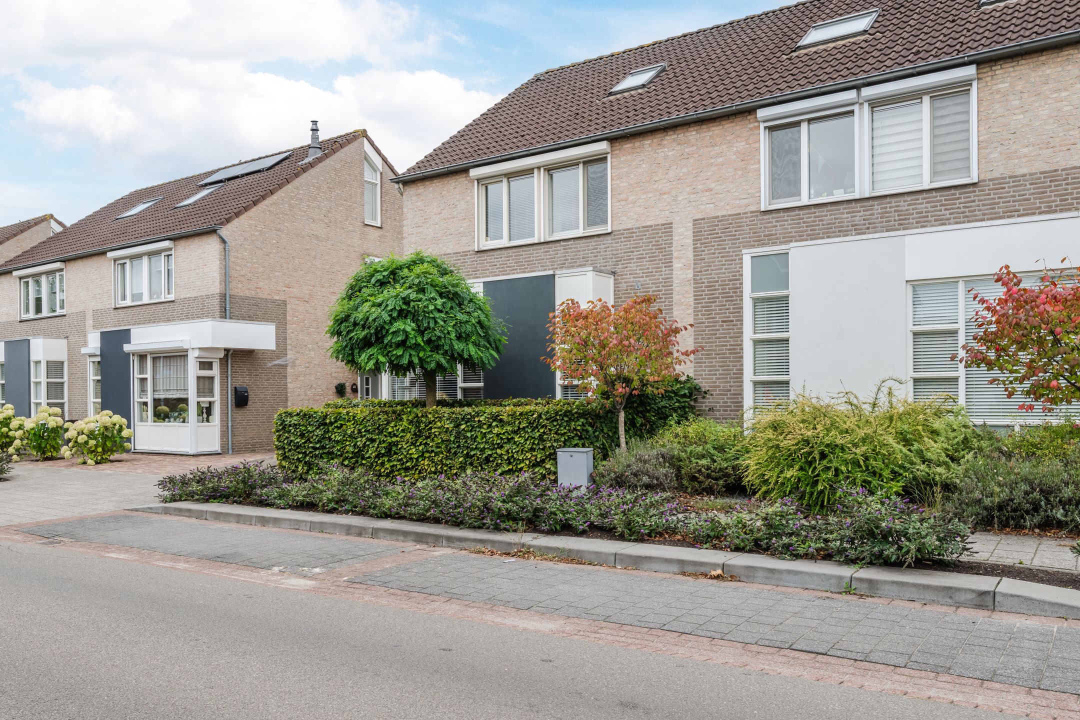 Foto 42 van Buizerd 11