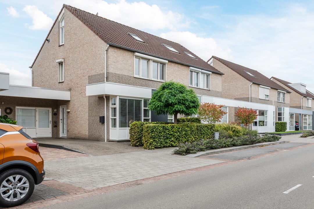 Foto 43 van Buizerd 11