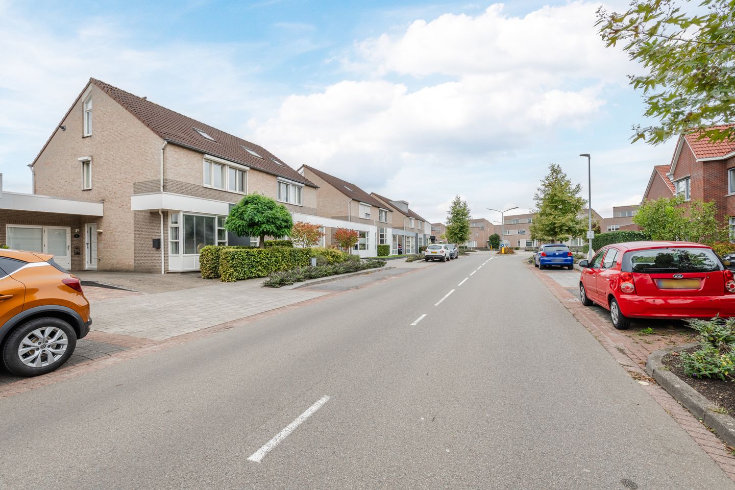 Foto 44 van Buizerd 11