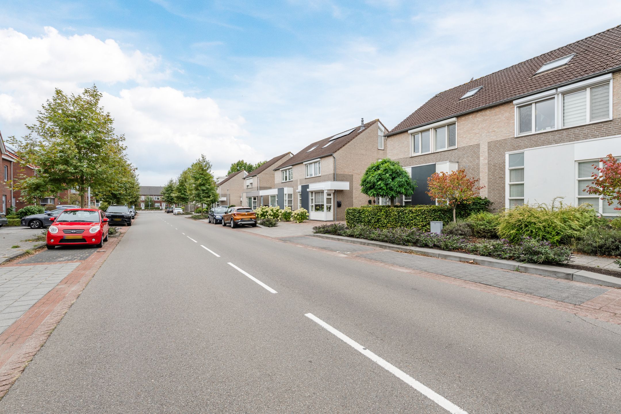 Foto 45 van Buizerd 11