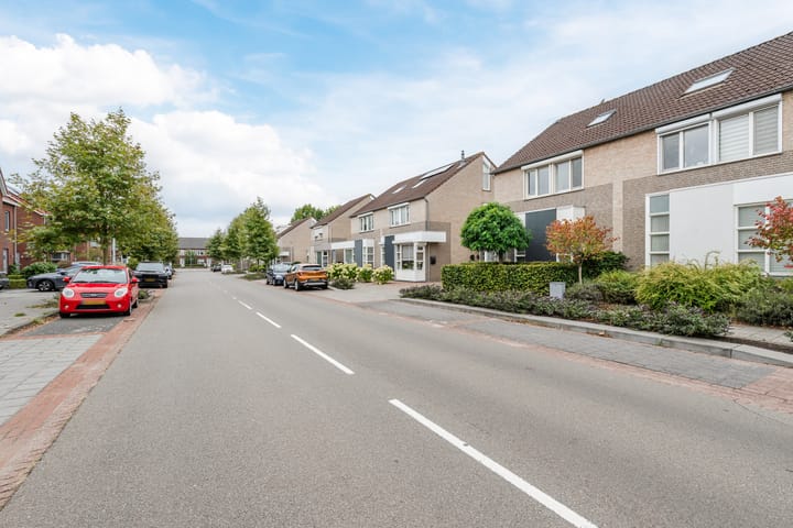 Foto 45 van Buizerd 11