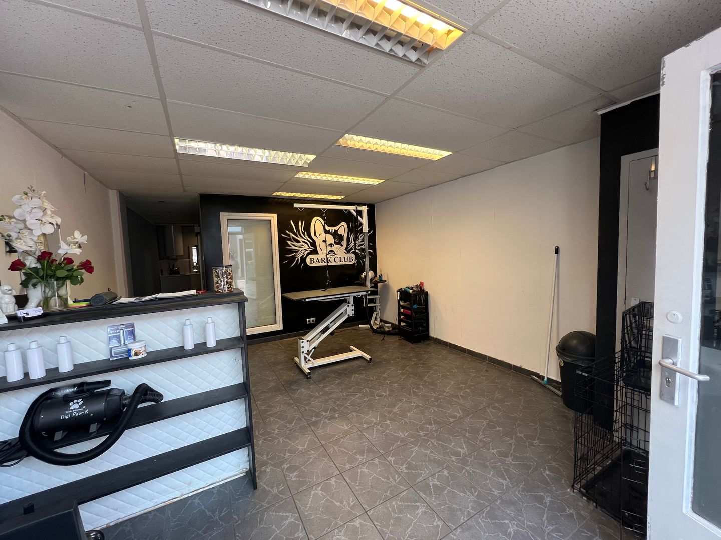 Bekijk foto 4 van van Tijnstraat 9