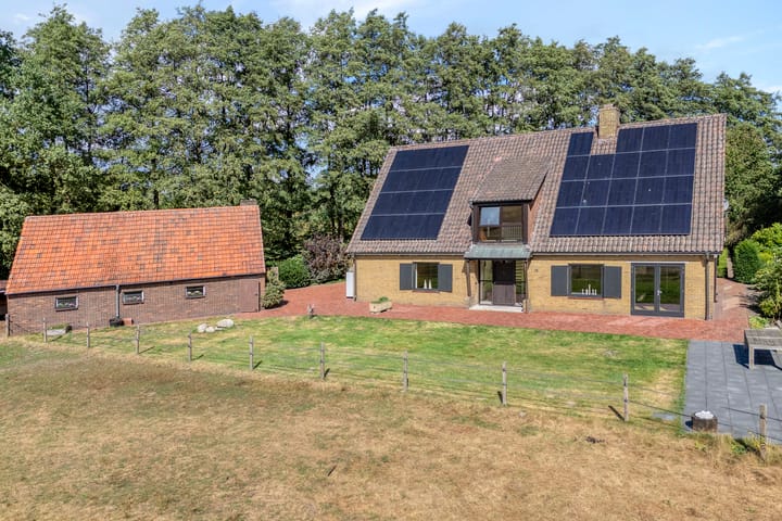 Foto 41 van Amtsvenn 13