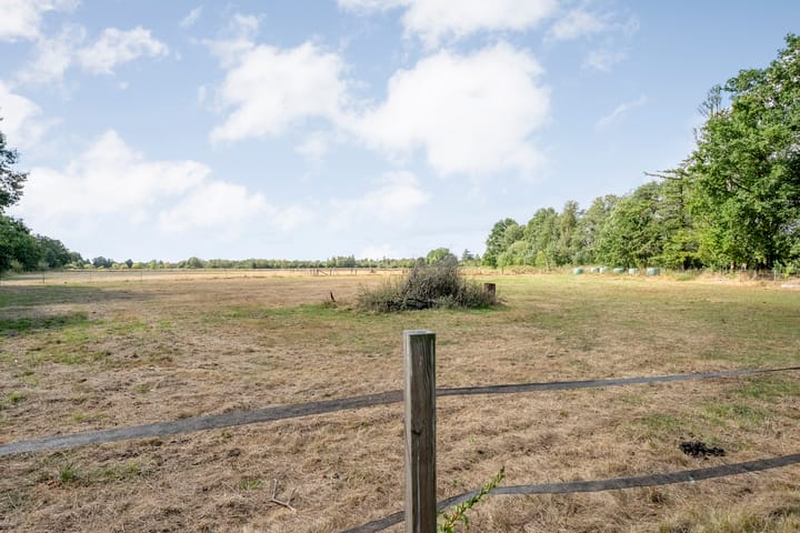 Foto 45 van Amtsvenn 13