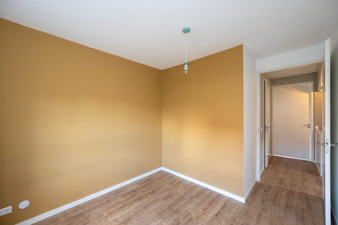 Photo 23 of Walnootlint 5