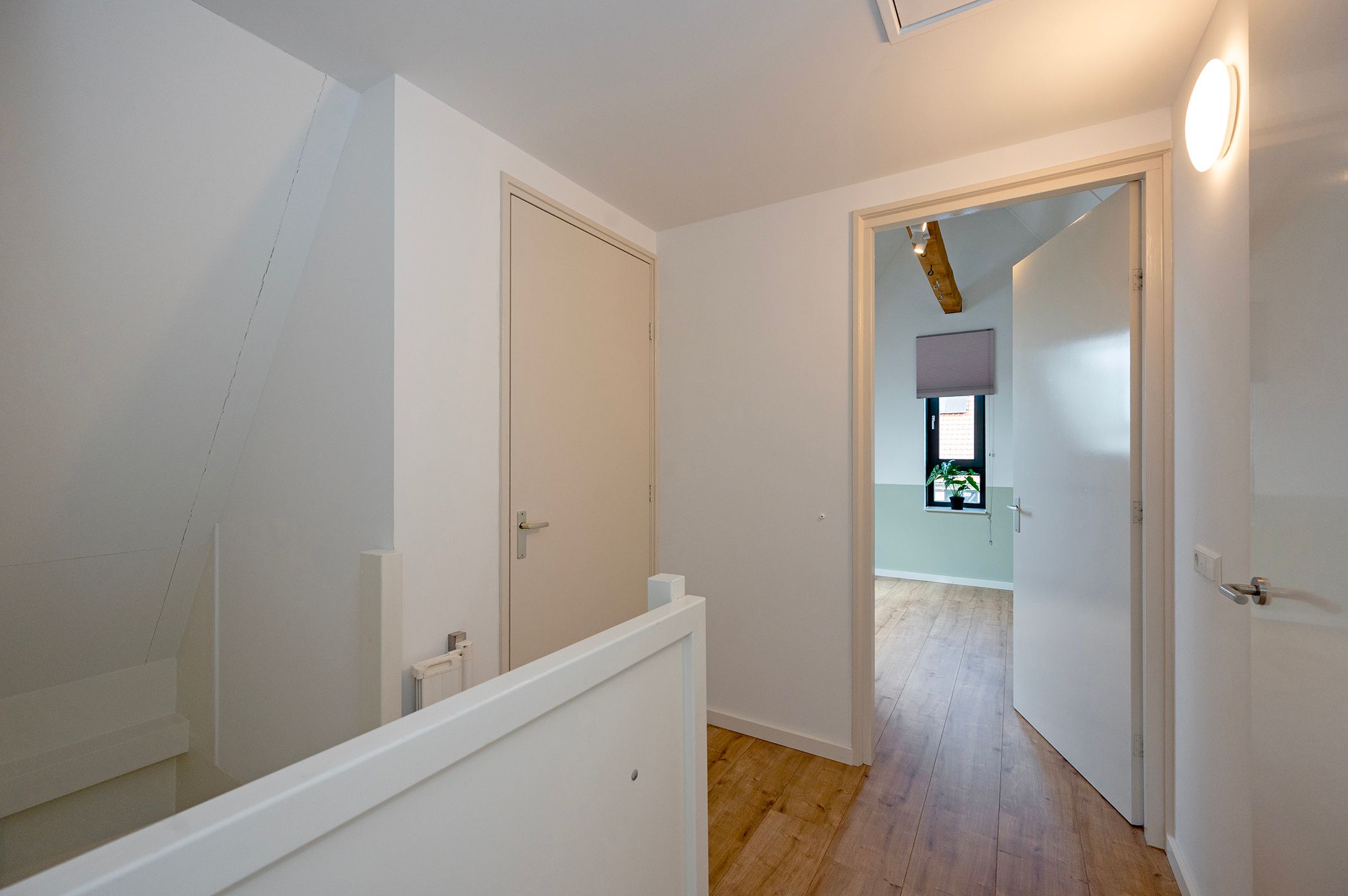 Photo 30 of Walnootlint 5