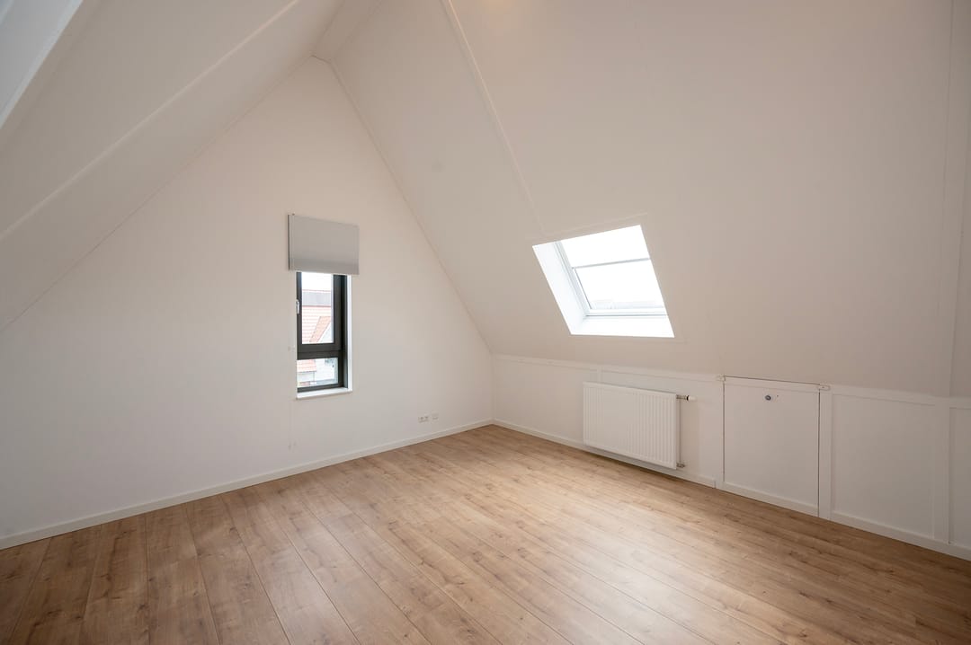 Photo 31 of Walnootlint 5