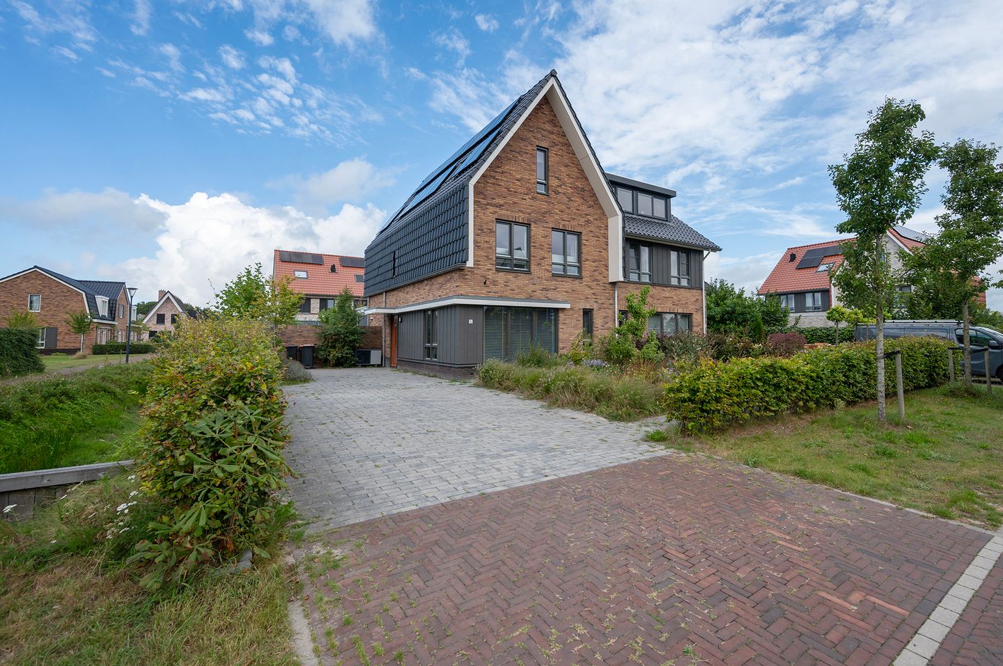 Photo 35 of Walnootlint 5