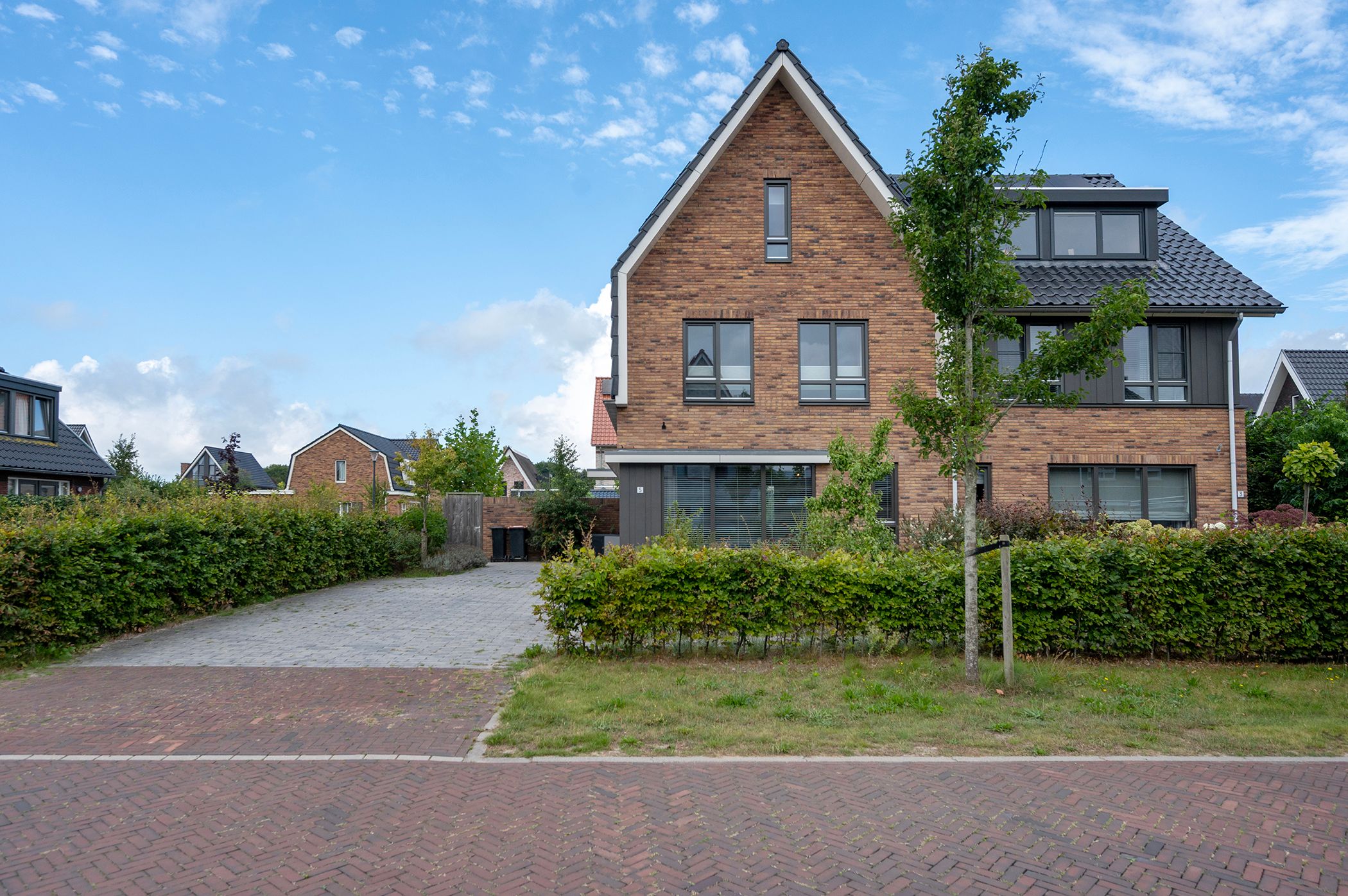 Photo 36 of Walnootlint 5