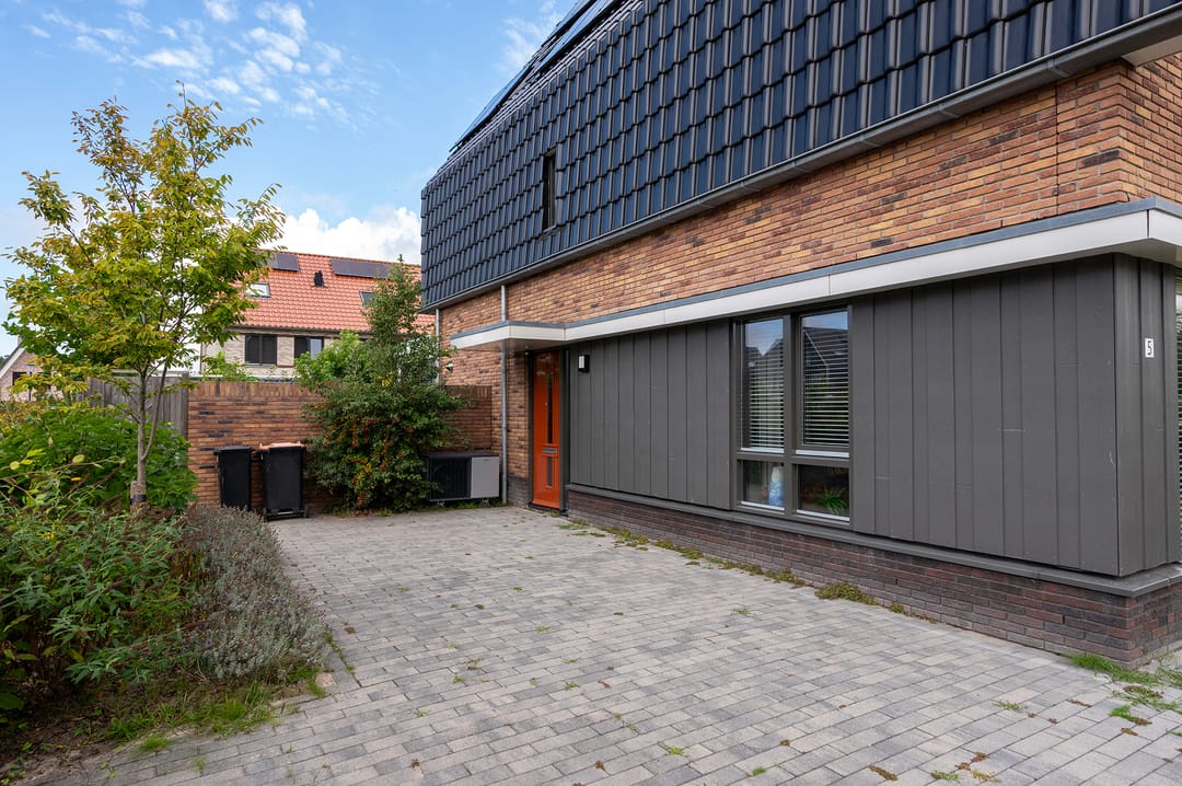 Photo 37 of Walnootlint 5