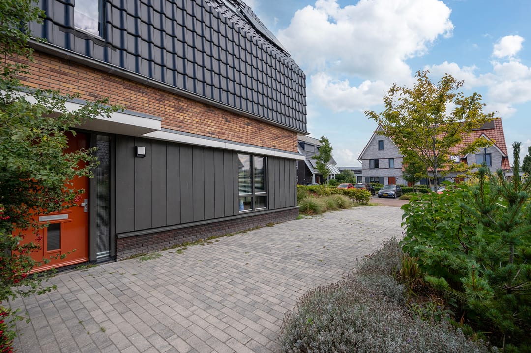 Photo 38 of Walnootlint 5