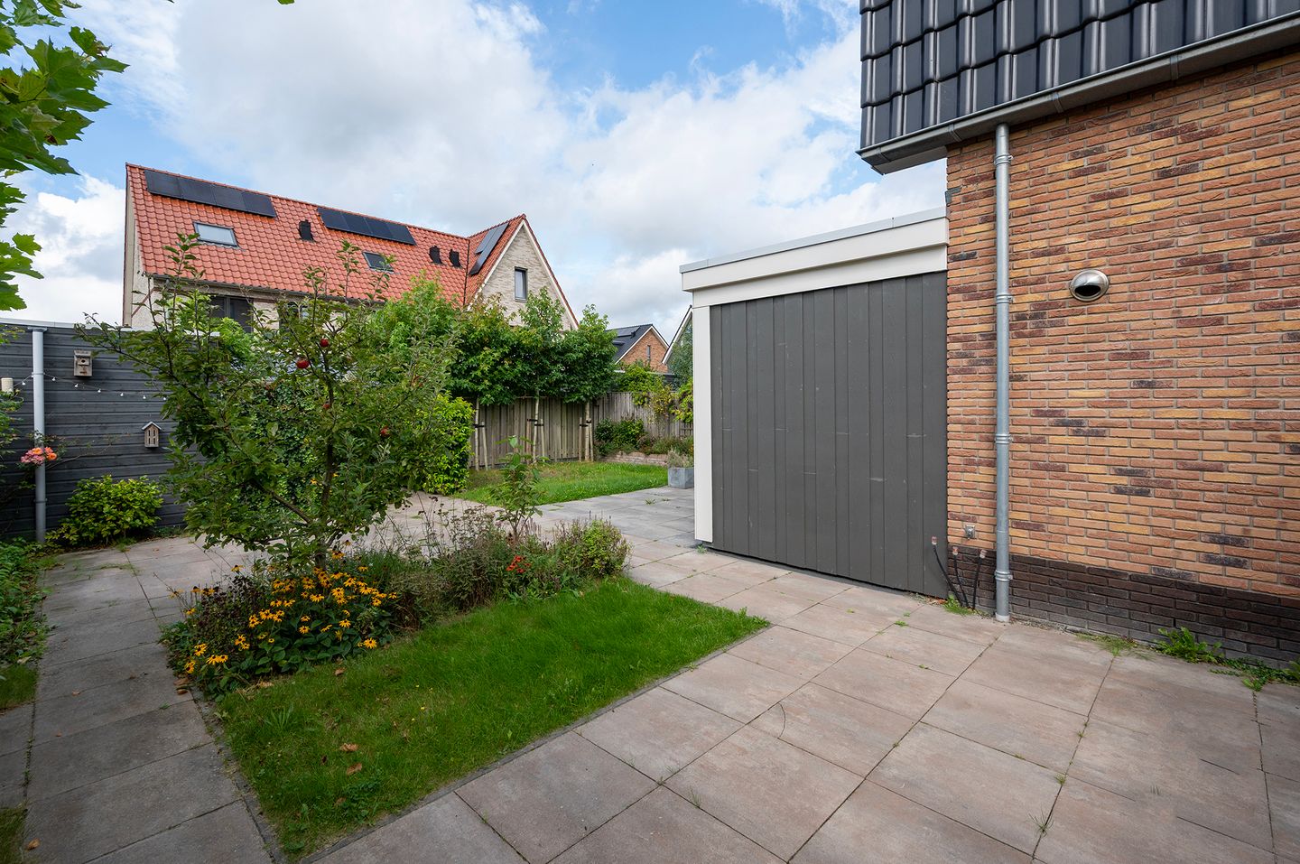 Photo 40 of Walnootlint 5