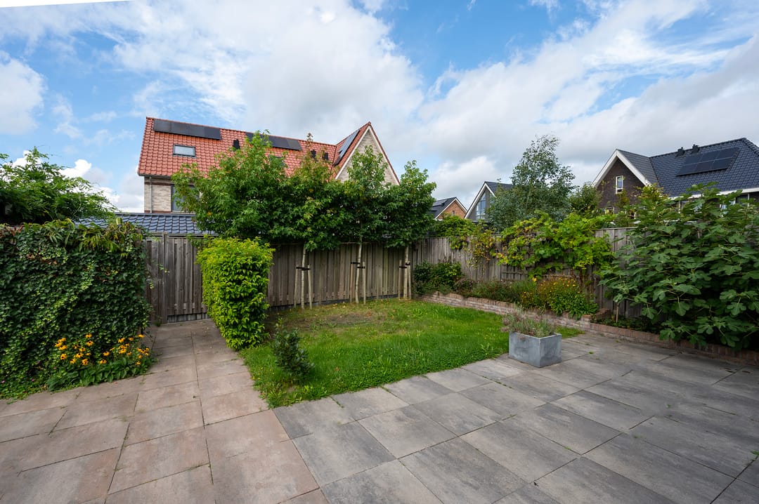 Photo 41 of Walnootlint 5