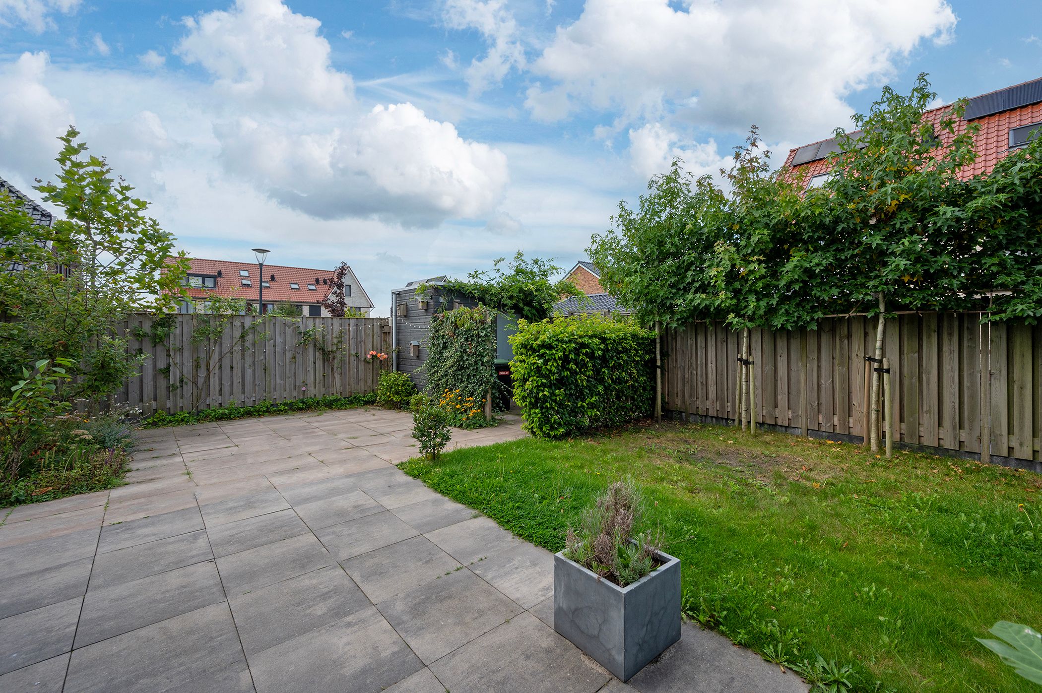 Photo 42 of Walnootlint 5