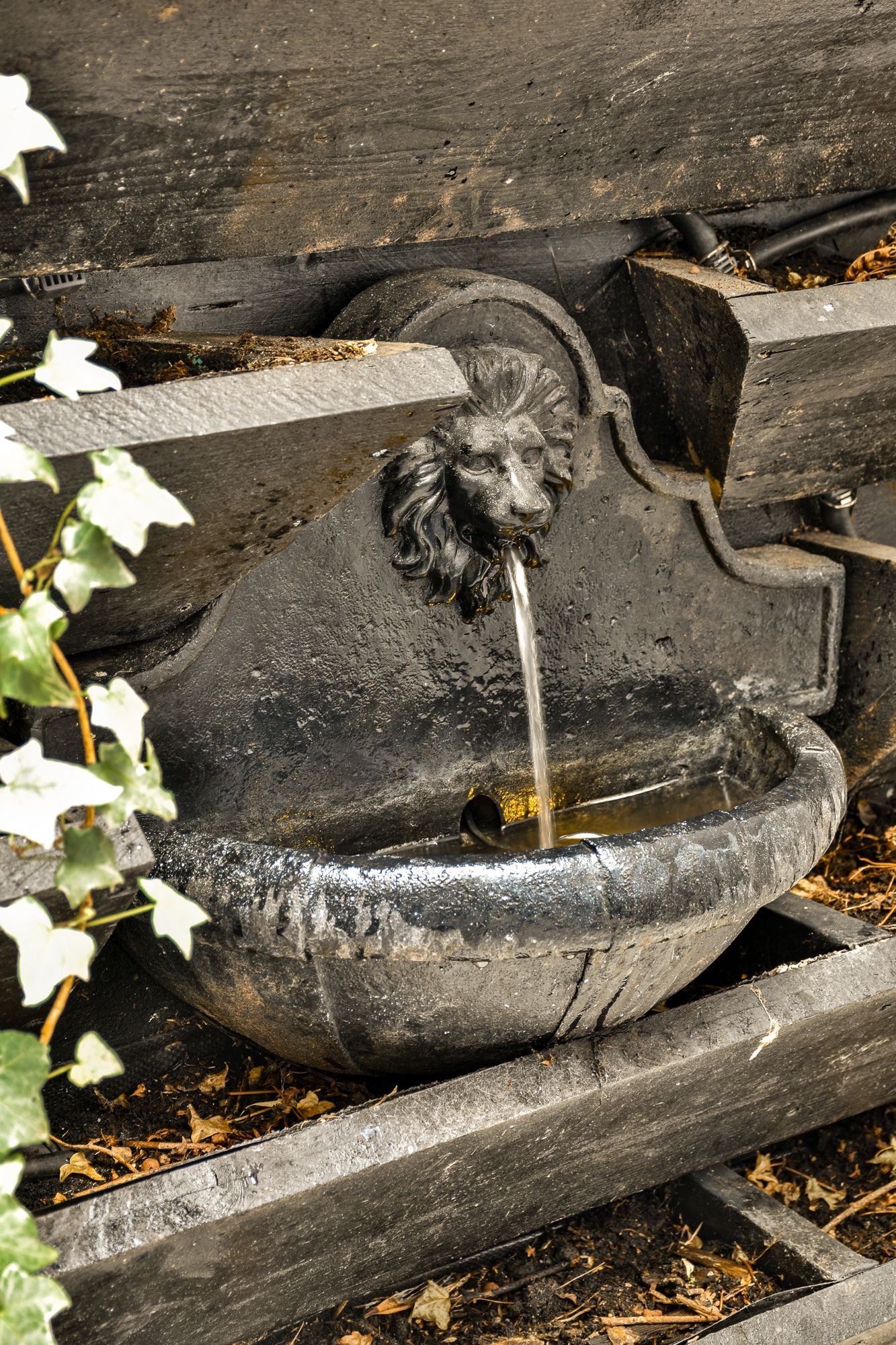 Foto 19 van Pieter Jacobszstraat 22