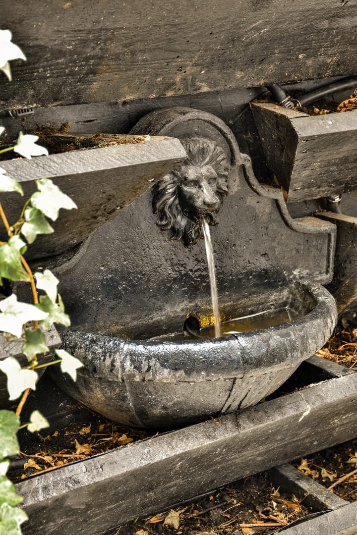 Foto 19 van Pieter Jacobszstraat 22