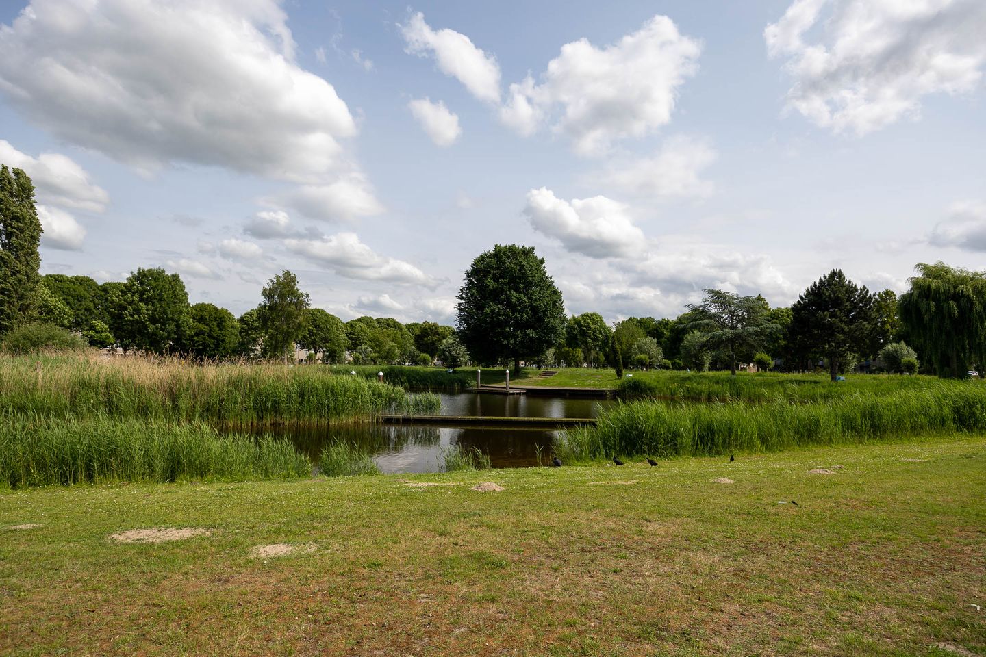 Foto 29 van Groningenstraat 58