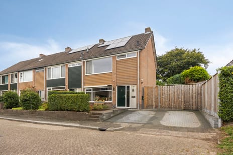 undefined main image