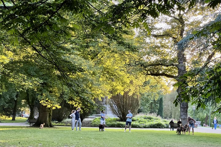 Foto 46 van Kruitschip 26