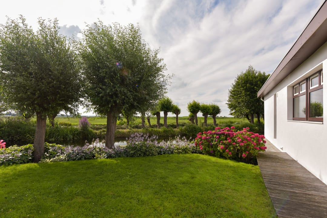 Foto 32 van Watertuin 50