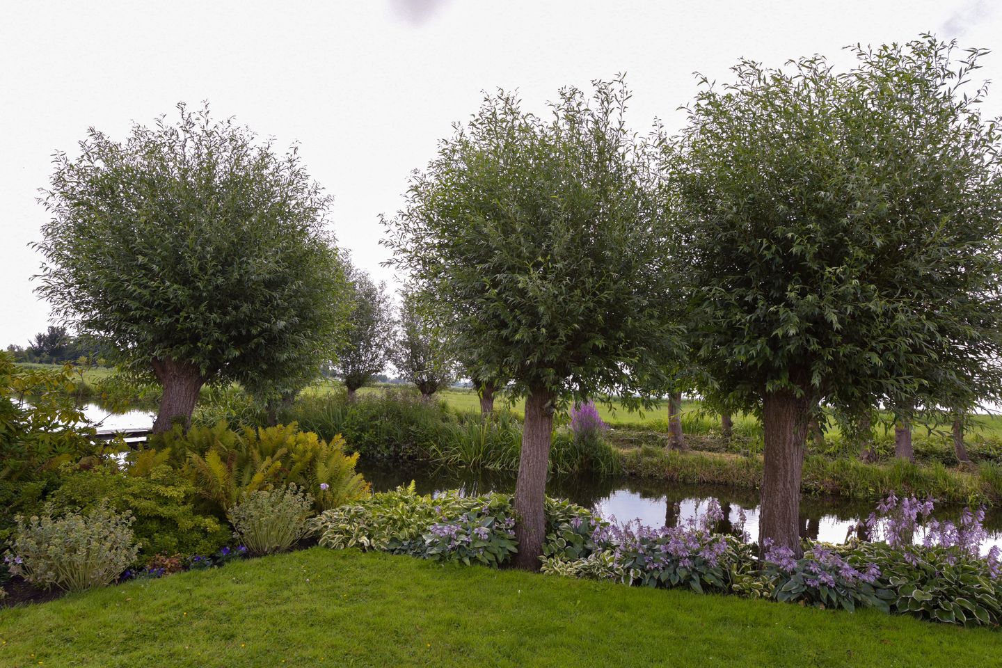 Foto 35 van Watertuin 50