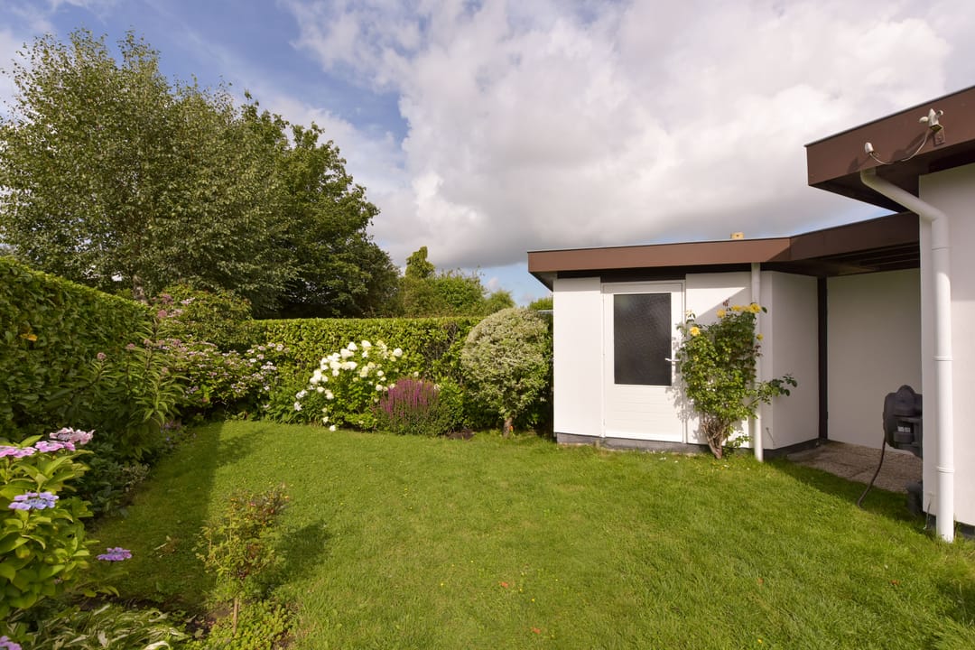 Foto 38 van Watertuin 50