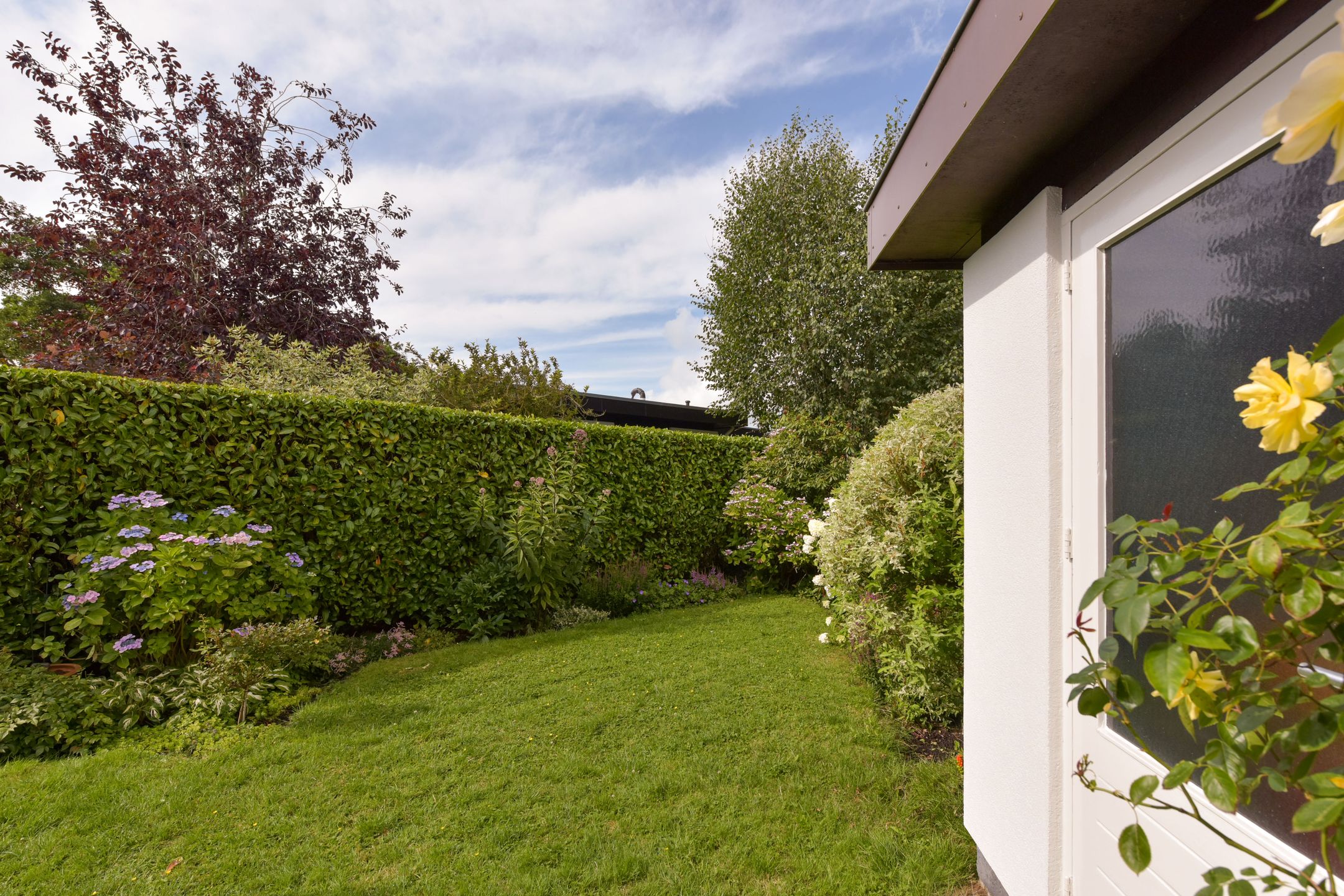 Foto 42 van Watertuin 50