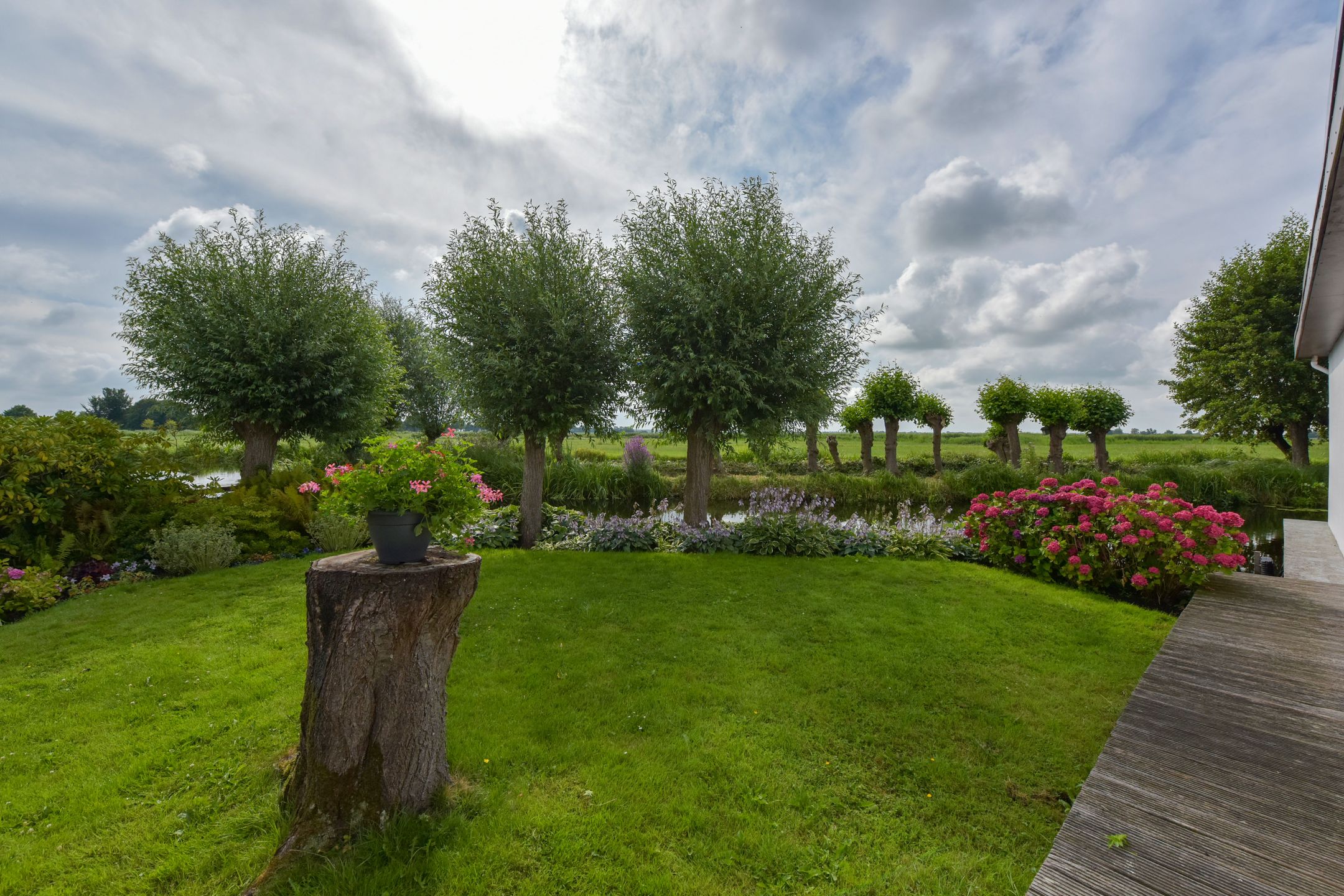 Foto 45 van Watertuin 50