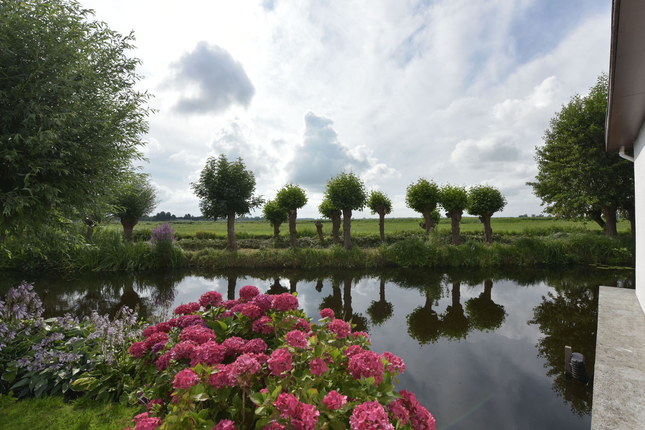 Foto 51 van Watertuin 50